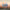 44890316505250|44890316538018|44890316570786