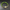 Peridot Style Evil Eye Bracelet
