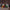 44890315817122|44890315882658|44890315915426