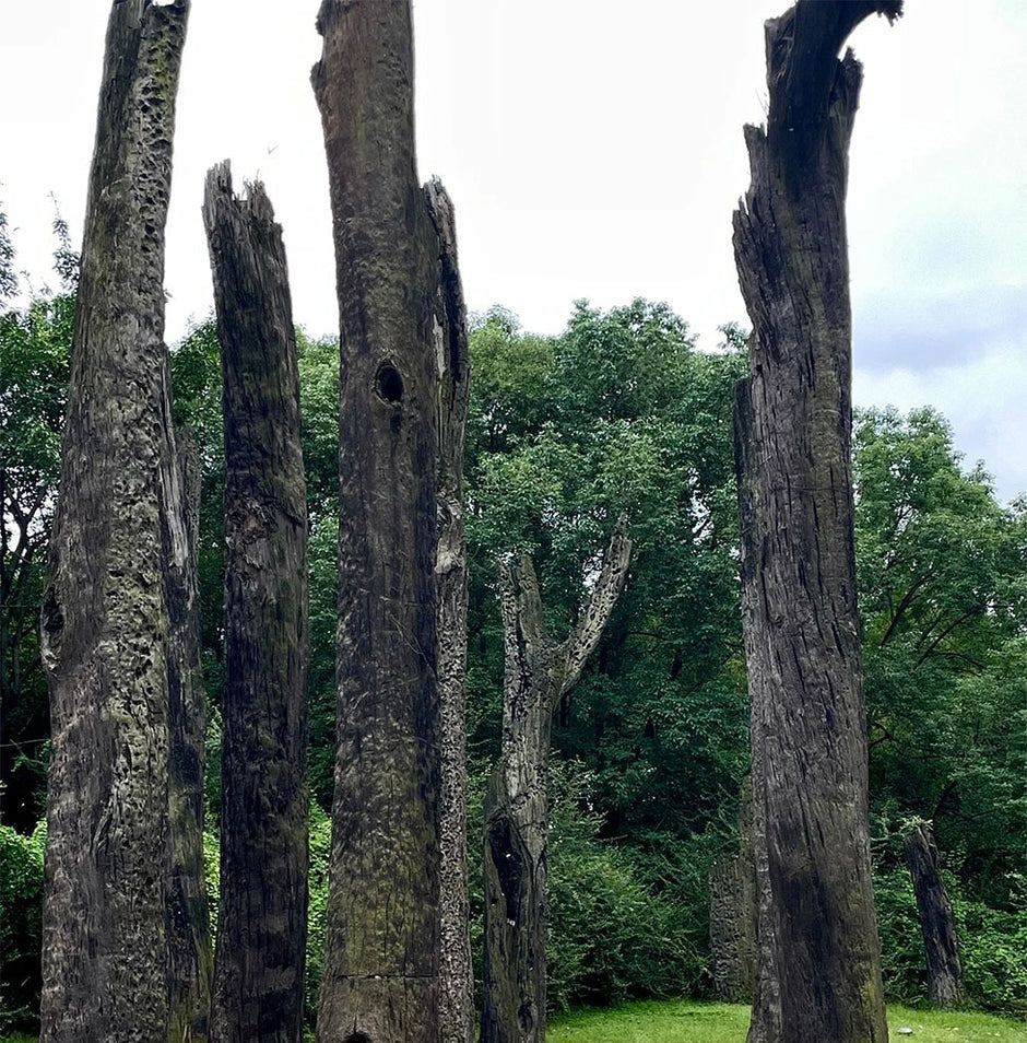 玄墨·乌木祝福手链 | 17颗护身珠 高僧祝福 五行辟邪