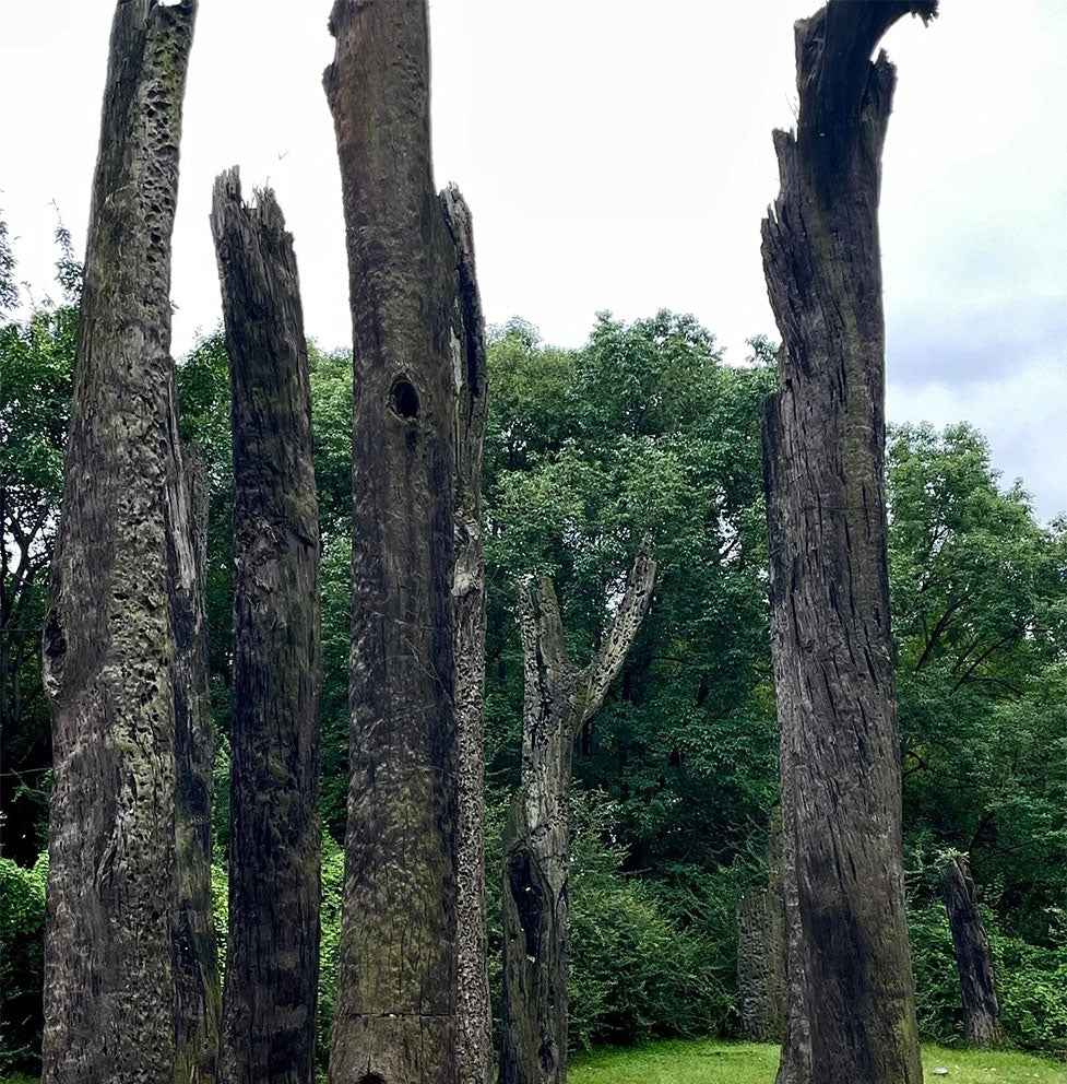 玄墨·乌木祝福手链 | 17颗护身珠 高僧祝福 五行辟邪